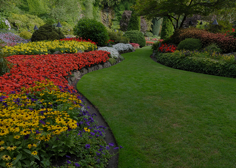 Lawn Care and Landscaping St. Charles, MO Home DeClue Lawn and Landscape LLC